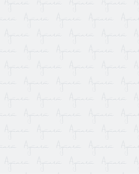 Купить AMAZON Summer mix#20 кг оптом в Кирове и Кировской области