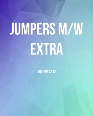 Купить Джемпер муж+жен экстра#15 кг , Лот№2612 оптом в Кирове и Кировской области