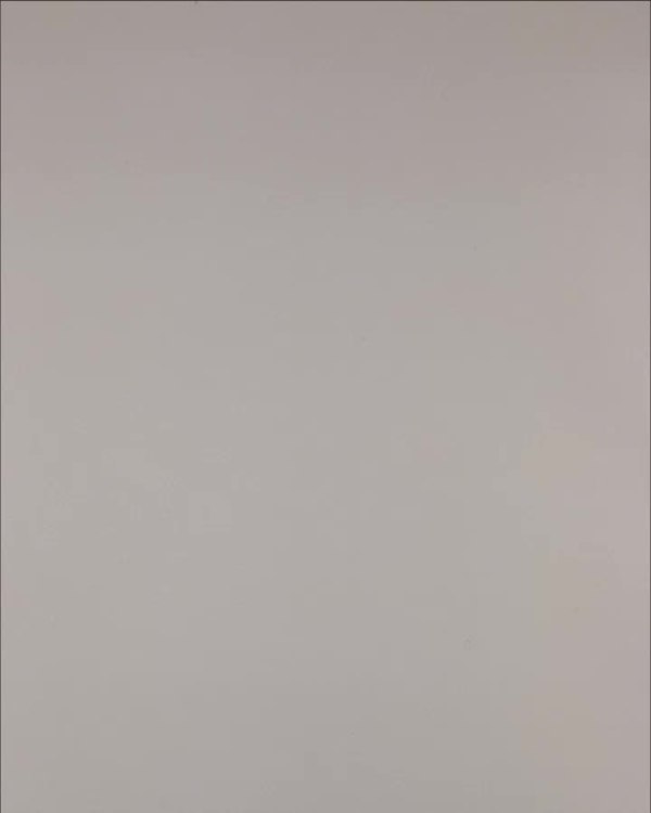 Фотография  775 - Нижнее белье Bon Prix дети#50 шт, ЛОТ №3242 оптом в Кирове и Кировской области