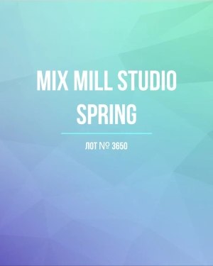 Купить MILL STUDIO Spring mix#15 кг, ЛОТ №3650 оптом в Кирове и Кировской области