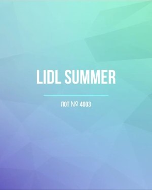 Купить LIDL Summer#20 кг, ЛОТ №4003 оптом в Кирове и Кировской области