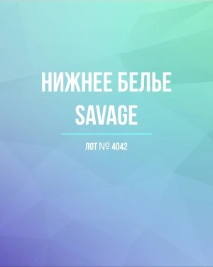 Купить Нижнее белье Savage#50 шт, ЛОТ №4042 оптом в Кирове и Кировской области