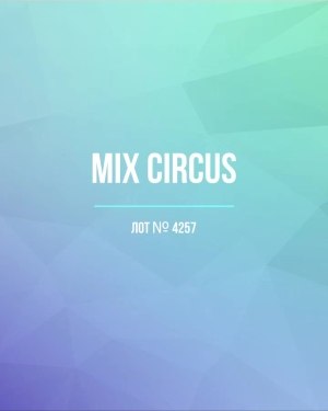 Купить CIRCUS mix #13 кг, ЛОТ №4257 оптом в Кирове и Кировской области