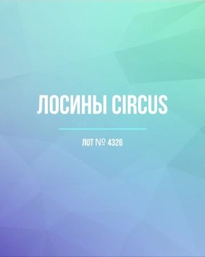 Купить Лосины CIRCUS #6,2 кг, ЛОТ №4326 оптом в Кирове и Кировской области