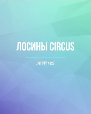 Купить Лосины CIRCUS #6,2 кг, ЛОТ №4327 оптом в Кирове и Кировской области