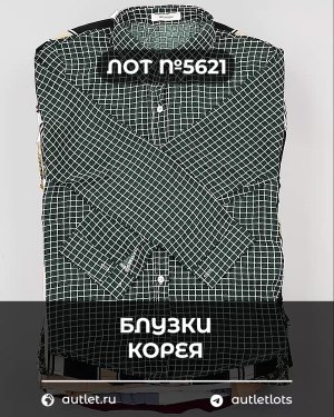 Купить Блузки Корея#20 шт, ЛОТ №5621 оптом в Кирове и Кировской области