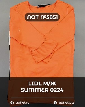 Купить LIDL Summer м/ж 022024#14 кг, ЛОТ №5851 оптом в Кирове и Кировской области
