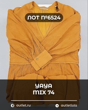 Купить YA YA 062024#39 шт, ЛОТ №6524 оптом в Кирове и Кировской области