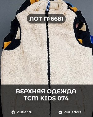 Купить Верхняя одежда TCM kids 074#7 кг, ЛОТ №6681 оптом в Кирове и Кировской области