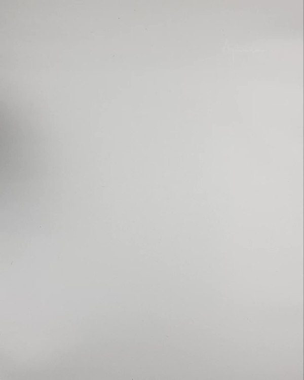 Фотография  604 - Верхняя одежда Дания#10,2 кг ЛОТ №6911 оптом в Кирове и Кировской области