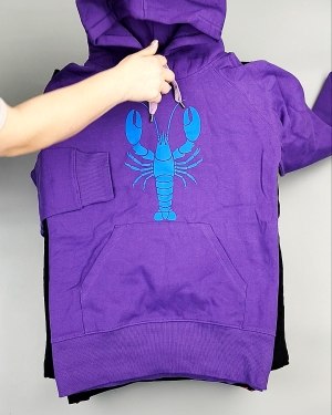 Фотография  336 - Толстовки м/ж (Sweat Tops)#20 кг, ЛОТ №7431 оптом в Кирове и Кировской области