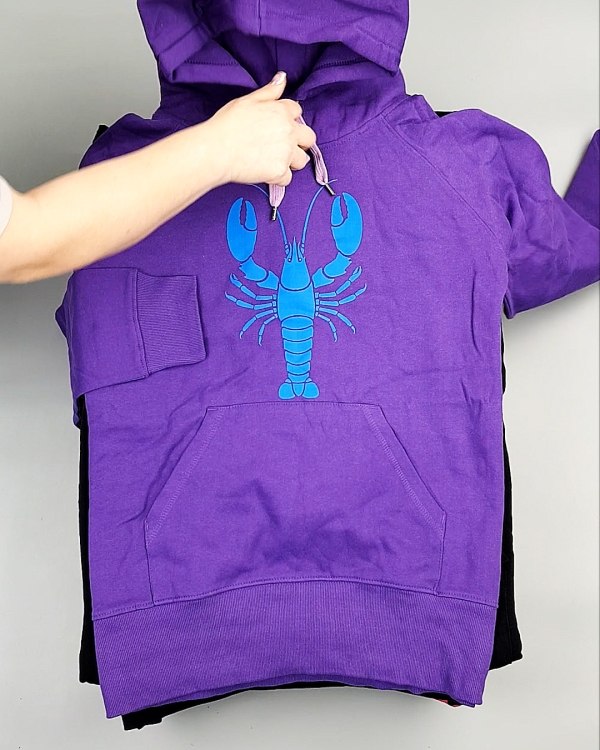 Фотография  441 - Толстовки м/ж (Sweat Tops)#20 кг, ЛОТ №7431 оптом в Кирове и Кировской области