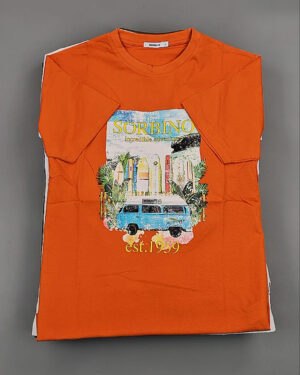 Купить Футболки мужские C-3141 (MEN T-shirt Sorbino) #4,7 кг, ЛОТ №8833 оптом в Кирове и Кировской области