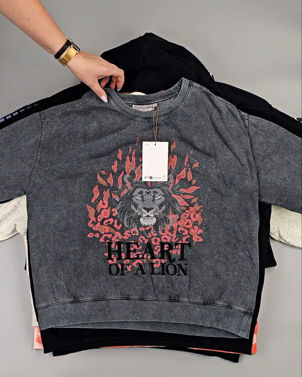 Фотография  366 - Толстовки Bestseller+DK 035#7 кг, ЛОТ СТ-9839 оптом в Кирове и Кировской области